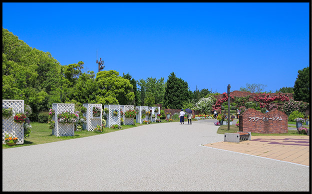 海の中道海浜公園